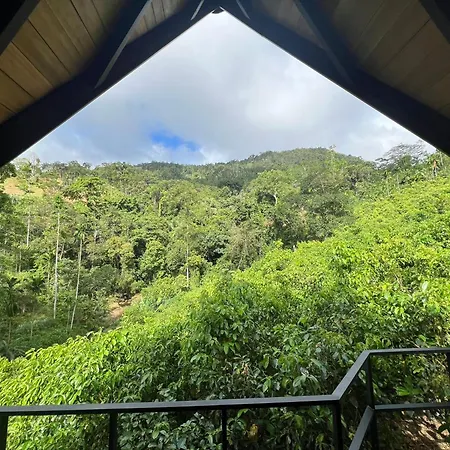 Cannelle Hill Cabanas Deniyaya Exterior photo